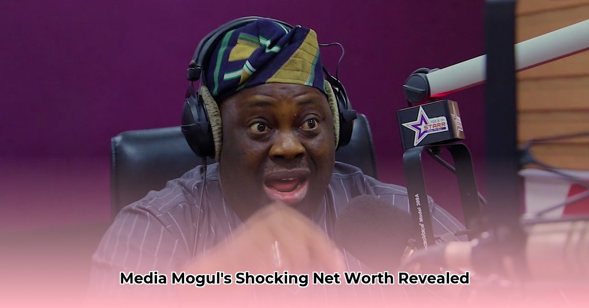 dele momodu net worth